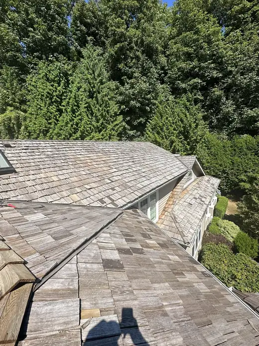 Roofing Repairs project photo 2