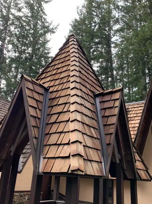 Roofing Repairs project photo 13
