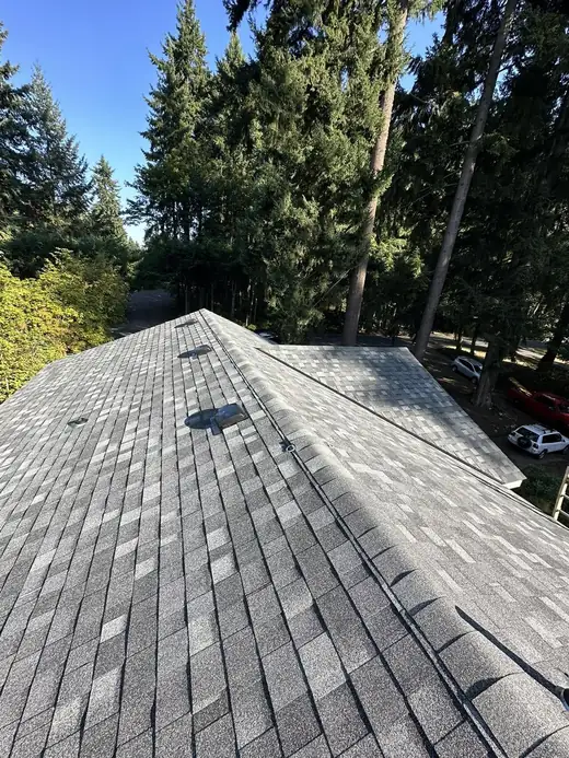 Roofing Repairs project photo 32