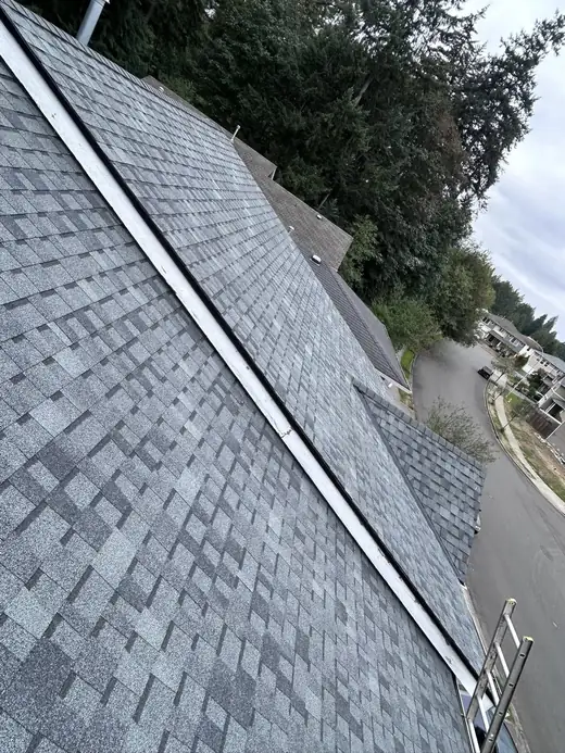 Roofing Replacement project photo 13