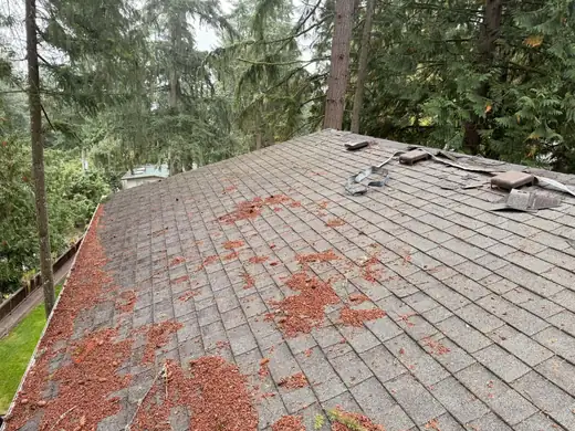 Roofing Replacement project photo 54